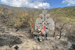 За 2023 год УПСЧ Академии привлекалась 397 раз  